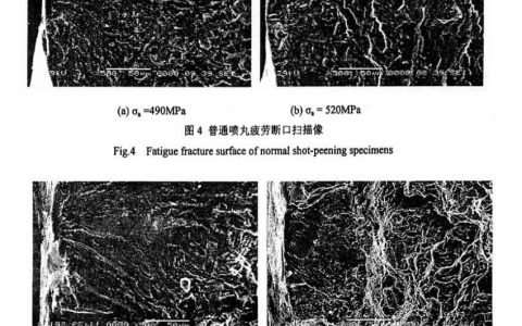 高能喷丸表面纳米化对工业纯钛疲劳性能的影响